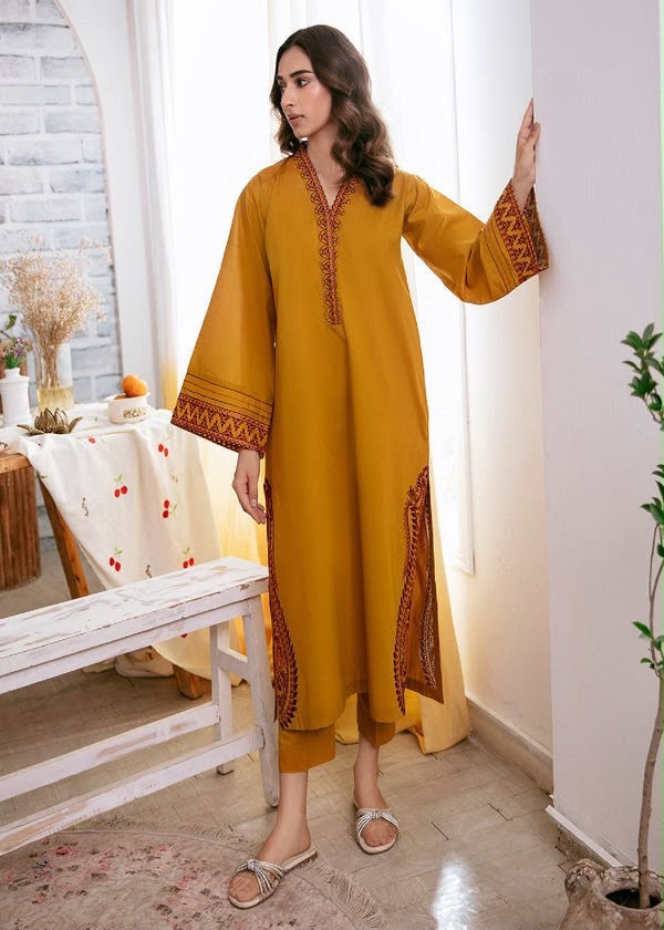 AFROZZ Fully Embroidered 2-Piece Airjet Dhanak Suit