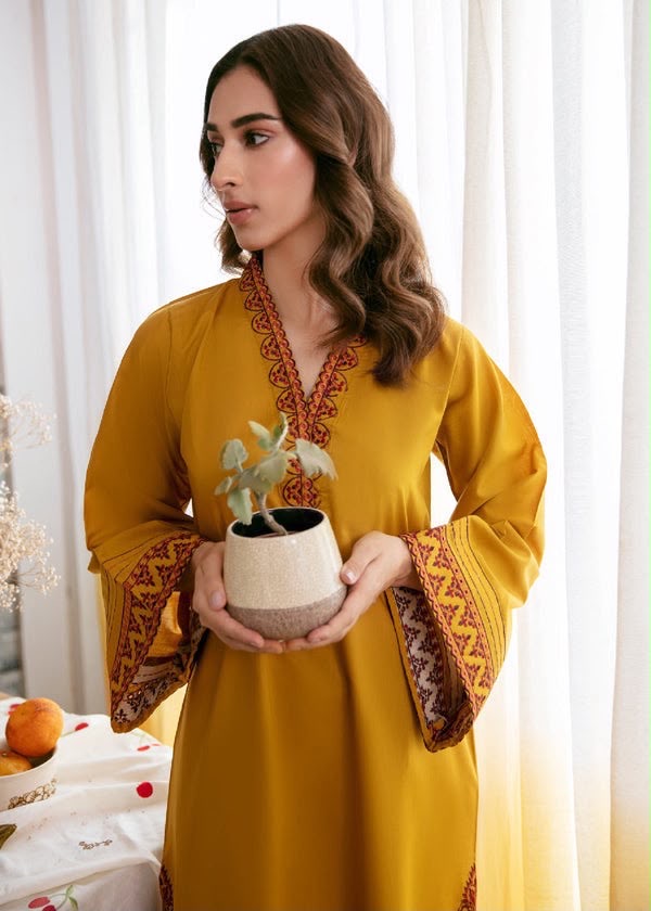 AFROZZ Fully Embroidered 2-Piece Airjet Dhanak Suit