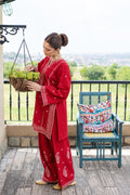 AFROZZ Fully Embroidered 2-Piece Airjet Dhanak Suit